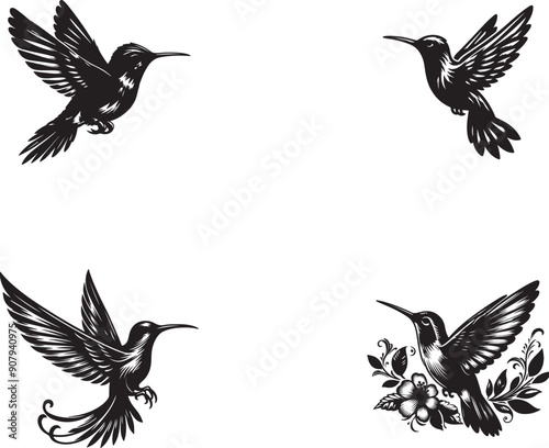 Fascinating Facts About Hummingbirds | Nature's Tiny Marvels