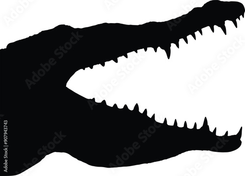 Crocodile with open mouth graphic illustration