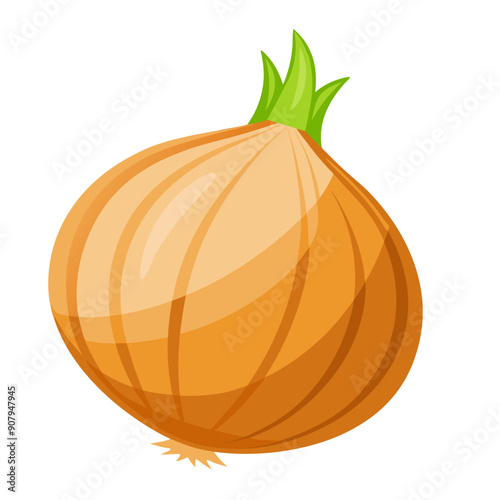 onion vegetable for cooking meals. A bright element isolated on white for design. Vector illustration