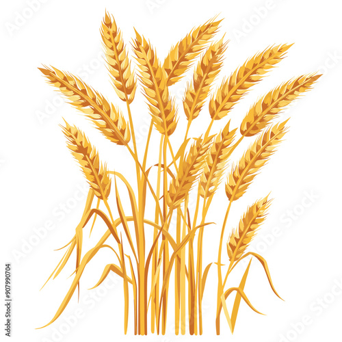 Golden wheat sheaves clustered together symbolizing harvest season. Realistic wheat stalks detailed kernels evoke agricultural themes. Isolated white background enhances vibrant yellowgold tones