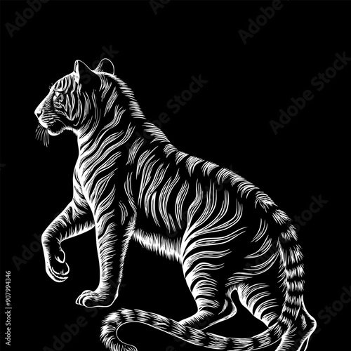 Antique engraving illustration Tiger