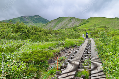 Hiking Route to Happo Pond During Summer in Hakuba, Nagano, Japan photo