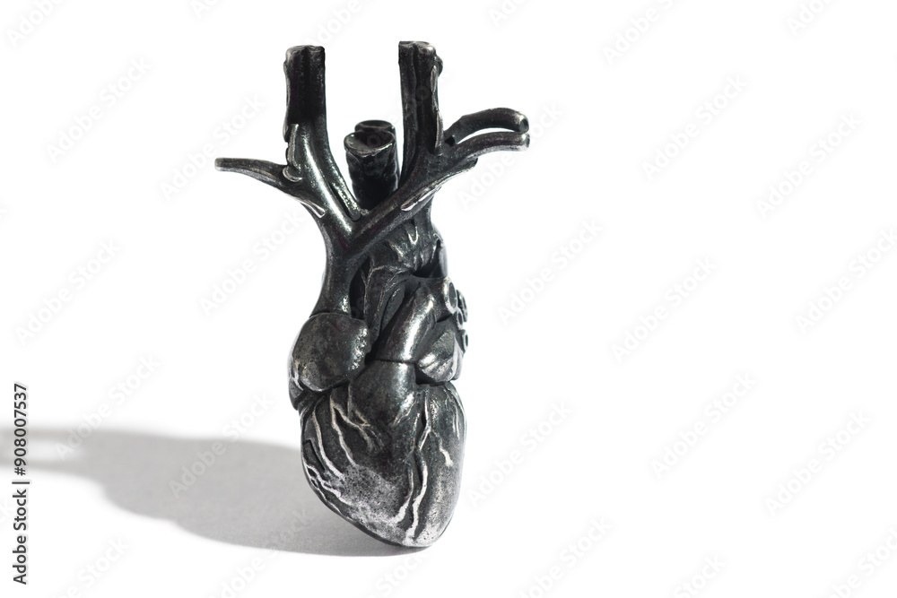 Detailed Steel Heart Model Showcasing Intricate Anatomical Features Isolated on White Detailed Steel Heart Model Showcasing Intricate Anatomical Features Isolated on White