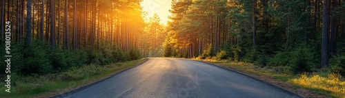 A serene road lined with trees, illuminated by the warm glow of sunlight during a tranquil morning.