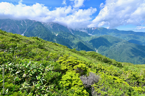 Nature Scenery of the Japanese Alps and Hakuba Happo Pond Hiking Trails in Summer photo