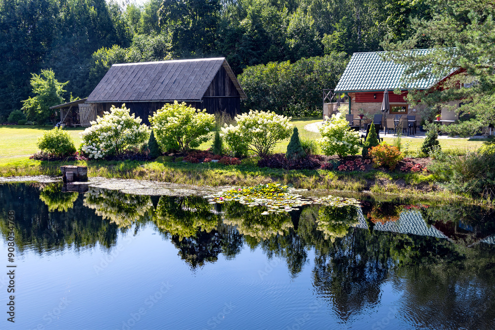 A lake with clear water surrounded by blooming hydrangea bushes that are reflected in the water at the Latvian countryside A lake with clear water surrounded by blooming hydrangea bushes that are reflected in the water at the Latvian countryside