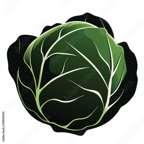 Brussel Sprout vector style silhouette, isolate white background,
