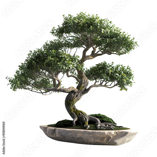 bonsai tree on white background render ultra realistic 