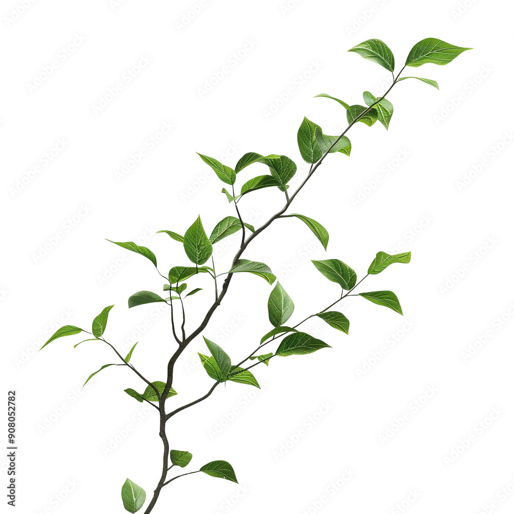 small branch leaves on white background render ultra small branch leaves on white background render ultra