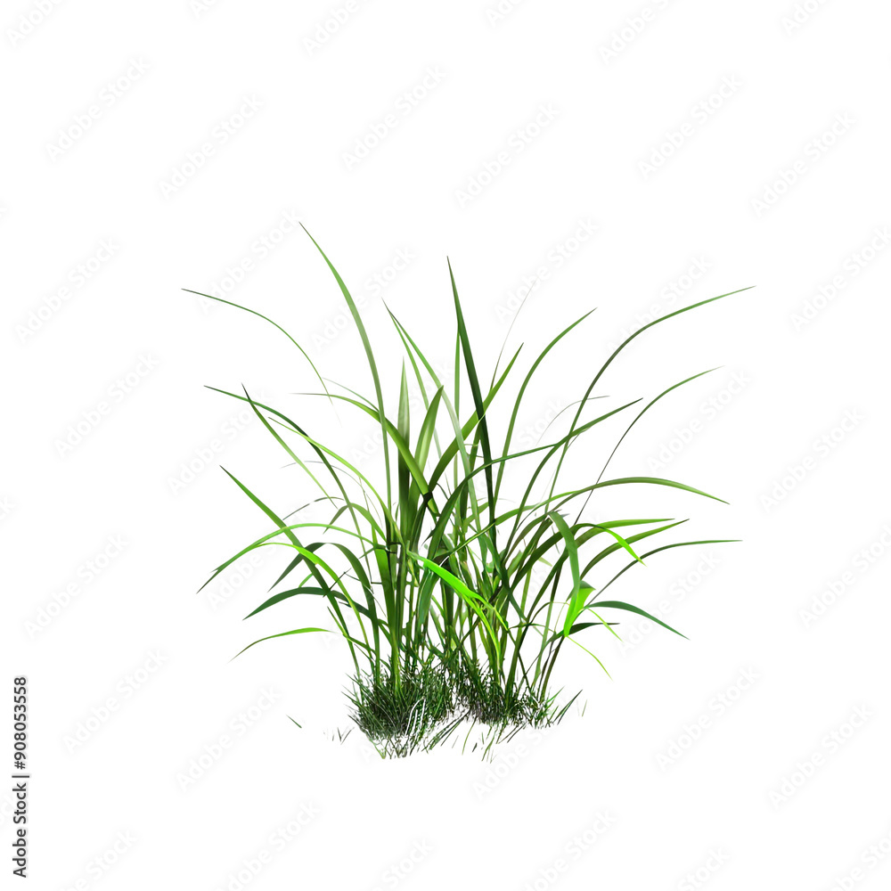 small pink flower on white background render ultra 