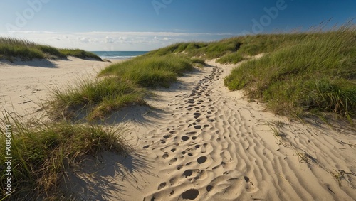 Sandy path through grassy dunes to the ocean
