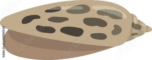 Clam shell color icon. Ocean coast fauna