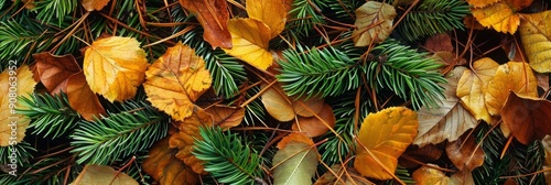 Nature's Tapestry: A Close-Up of Colorful Leaves and Pine Needles in Lush Foliage.