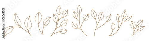 Set monochrome simple leaves botanical branches with stem and foliage vector illustration