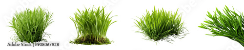 Set of wild green grass cutouts.