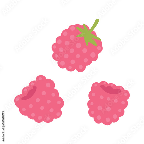 Pink raspberries hand drawn illustration on white background, simple childish flat style, isolated, fresh and vibrant summer berry treat
