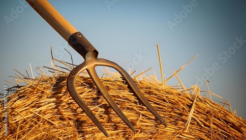 Pitchfork in hay bale in field