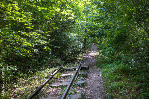 Abandoned railway line, old abandoned railway tracks in the forest.