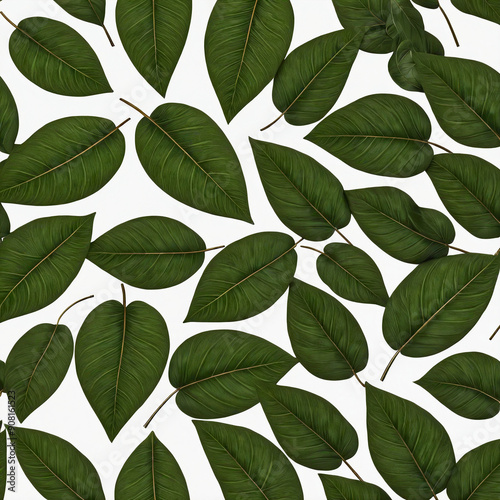 leaf, autumn, nature, plant, isolated, fall