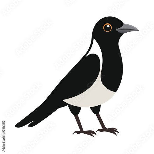 Illustration of Cute Pied Currawong on white