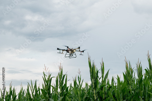 Agrodrone sprayer sprays sunflower fields, precision farming, the latest agriculturethe. Drone - new technology in farming.