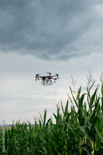 Agrodrone sprayer sprays sunflower fields, precision farming, the latest agriculturethe. Drone - new technology in farming.
