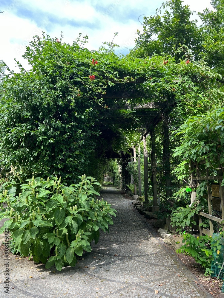 Wooden pergola gate in the garden with green leaves and trees. Wooden pergola gate in the garden with green leaves and trees.