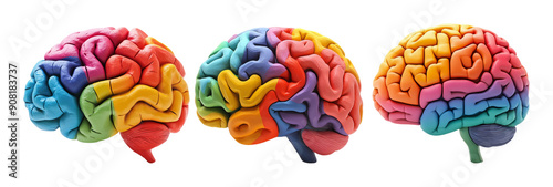 Vibrant Brain Models Set Isolated on Transparent Background