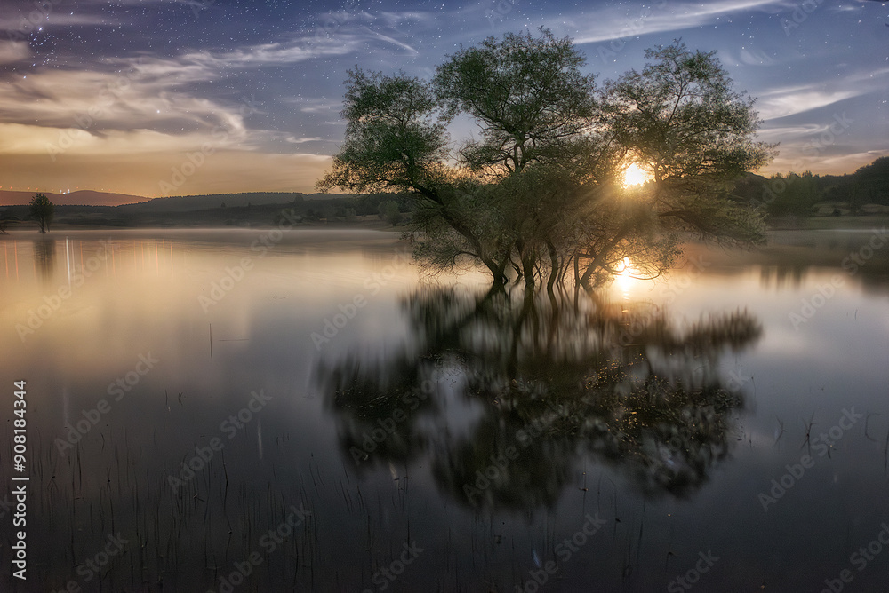 Obraz premium Moonrise between trees in the Aguilar de Campoo reservoir, Palencia