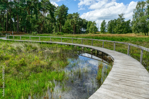 Schöner Holzsteg im Moor im Diersfordter Wald im Sommer