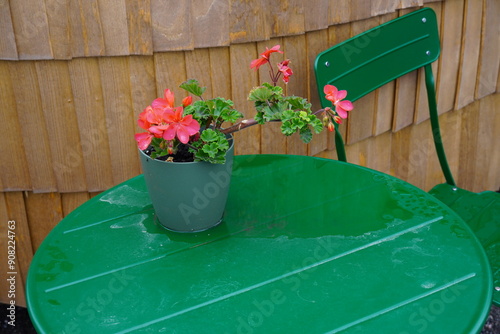 Dark green metal chair next to the table. Wooden igloo (sauna) textured surface of background. Flower in pot. Weather after the rain. Noblessner, Tallinn, Estonia, Europe. July 2024. photo