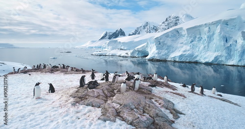 Quadro em tela Antarctic penguins colony rest on mountain coastline