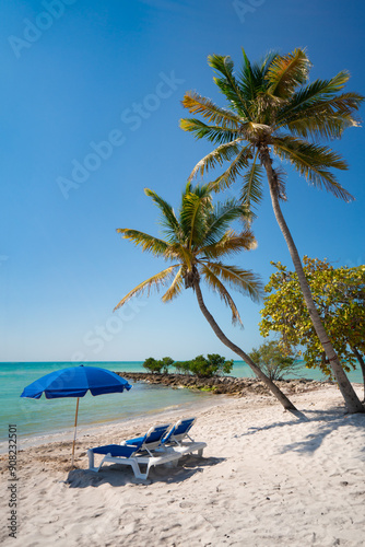 Tropical island beach scene with beach lounge chairs, beach umbrella, palm trees and ocean.