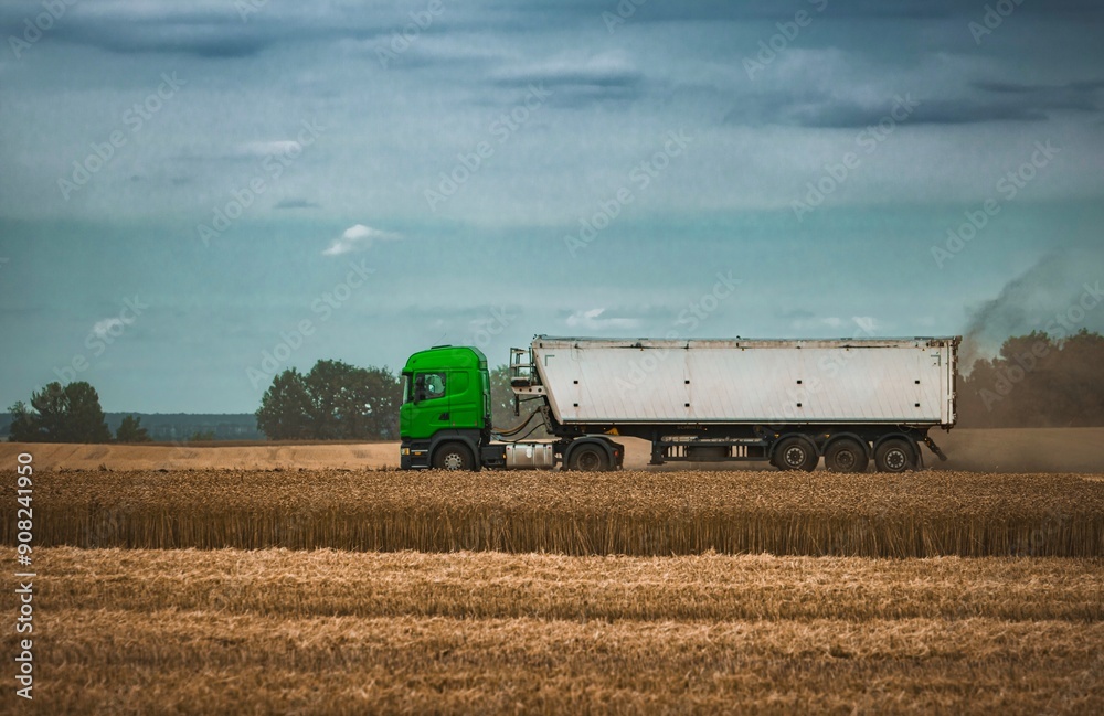 truck with grain driving through the field of wheat truck with grain driving through the field of wheat