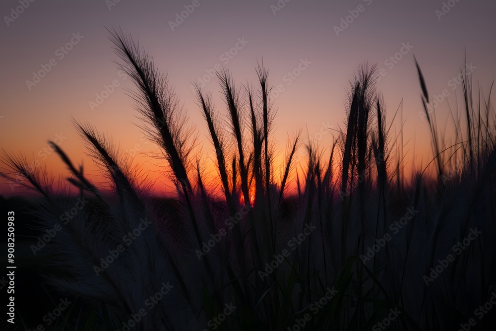 Silhouetted plants at sunset, orange glow fading to purple, serene atmosphere Silhouetted plants at sunset, orange glow fading to purple, serene atmosphere