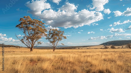 Golden Field with Trees 17