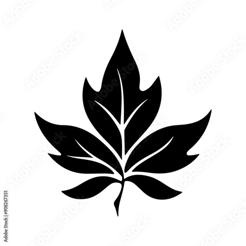 Leaf Shape  vector silhouette  black color  silhouette soli © MstTania