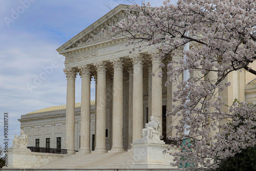 US Supreme Court with Cherry Blossom  photo