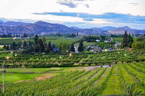 Orchards in East Kelowna, the third largest city in British Columbia, located on the shores of Okanagan lake in Canada photo