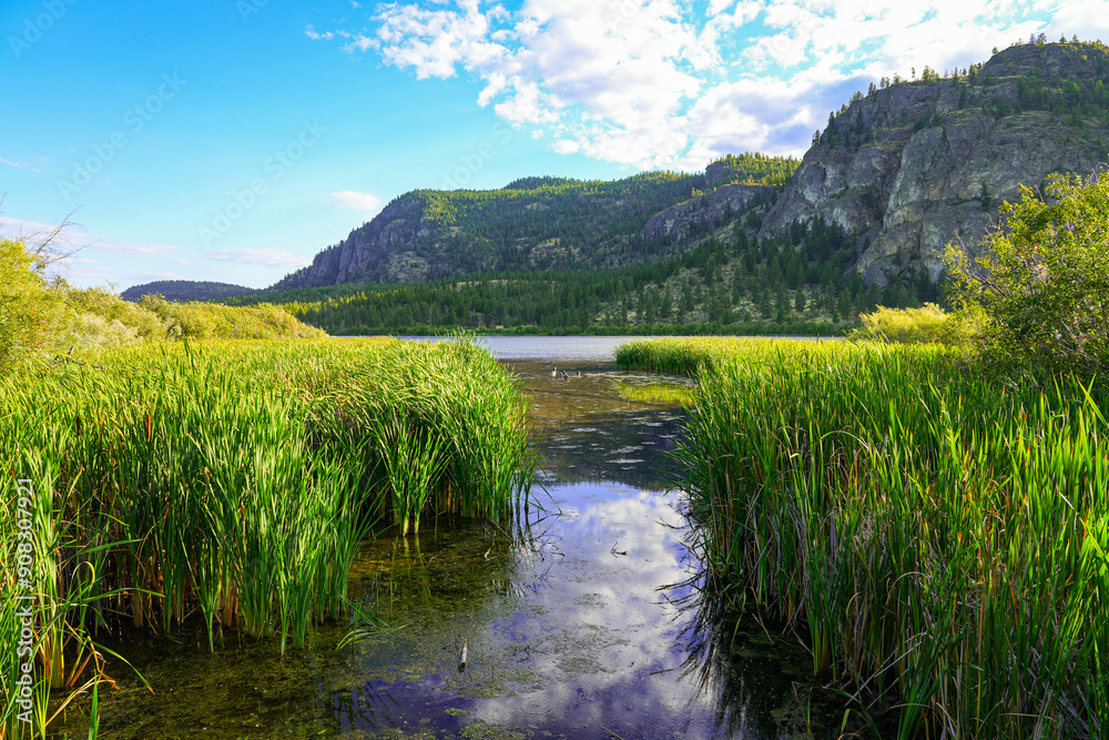 Fototapeta premium Vaseux Lake Migratory Bird Sanctuary in the Okanagan Valley, British Columbia, Canada