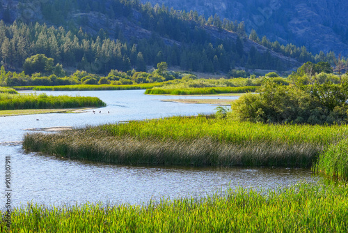 Photos Vaseux Lake Migratory Bird Sanctuary in the Okanagan Valley, British Columbia, C