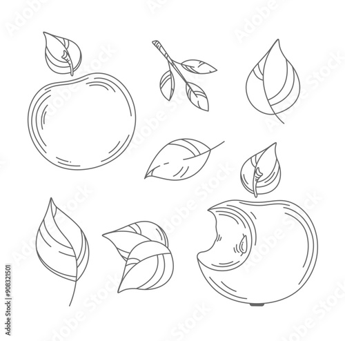Vector hand drawn contour big apples, many small leaves set. Simple linear sketch. Editable outline. Doodle fruit icon. Ink paint food element for juice, healthy snack packaging design. Autumn harvest