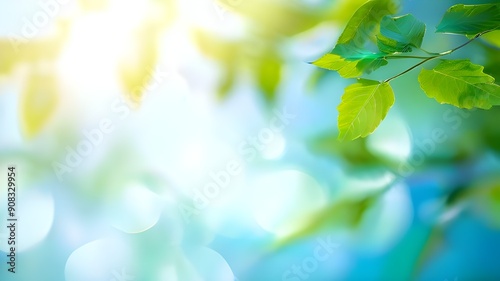 Summer background of blue and green, blurred foilage and sky with bright bokeh. Blurry abstract summer background. Natural green leaves using as cover page greenery environment,spring green background