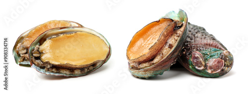 Raw abalones on the white background 