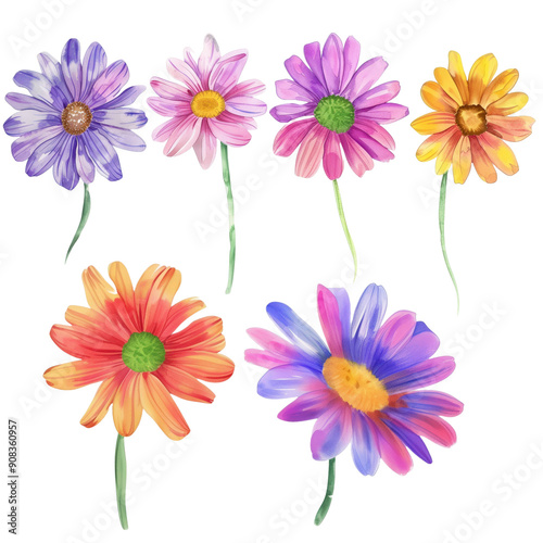 Watercolor painted flowers in various colors, isolated on a transparent background, showcasing vibrant and delicate botanical designs.