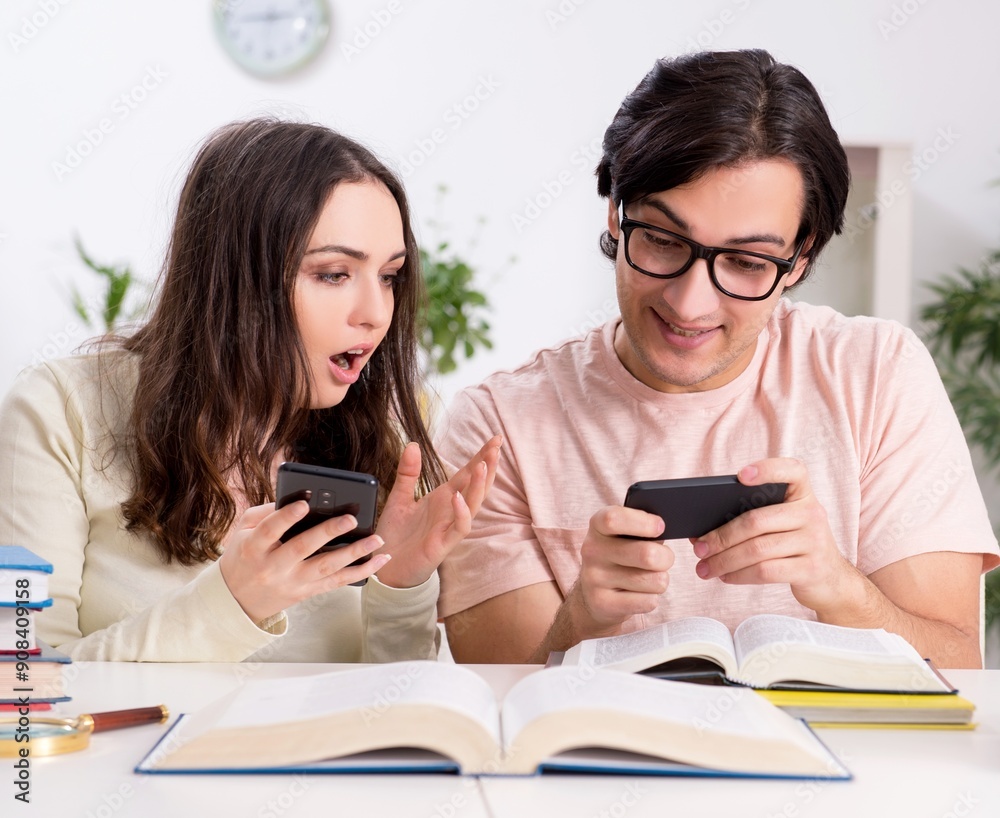Students preparing for exam together at home