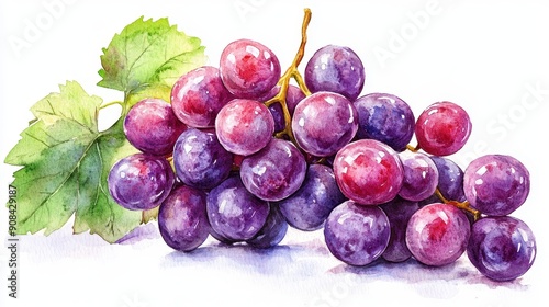 A fresh grape clipart, fruit element, watercolor illustration, soft colors, isolated on white background