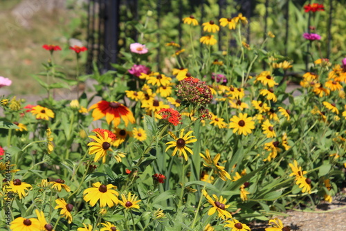 Garden In Summer Bloom, Fort Edmonton Park, Edmonton, Alberta