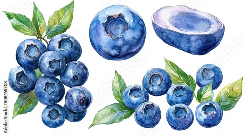A fresh blueberry clipart, fruit element, watercolor illustration, vibrant colors, isolated on white background