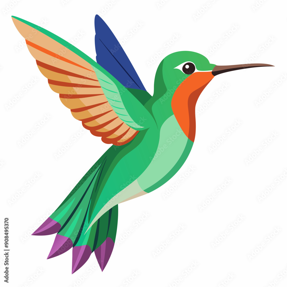Obraz premium flying colibri vector art illustration